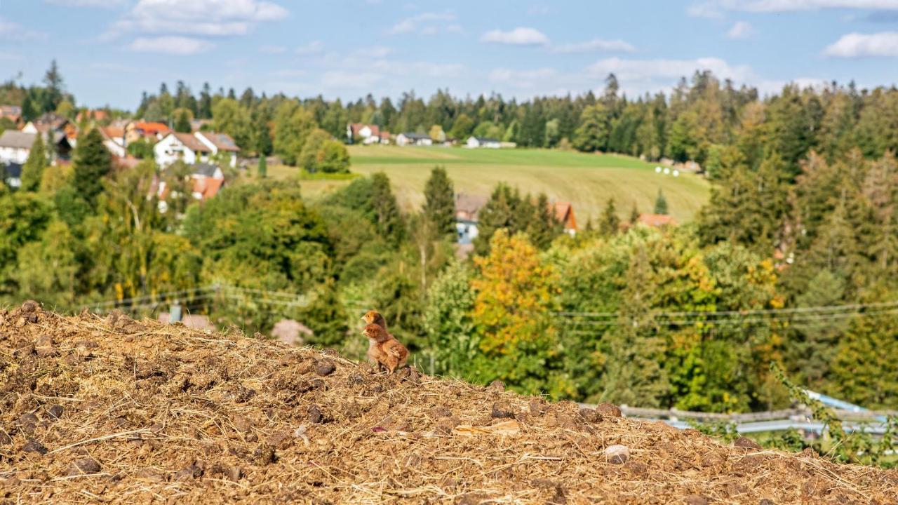 Landpension Pferdekoppel - B&B - Self Checkin Seewald Esterno foto